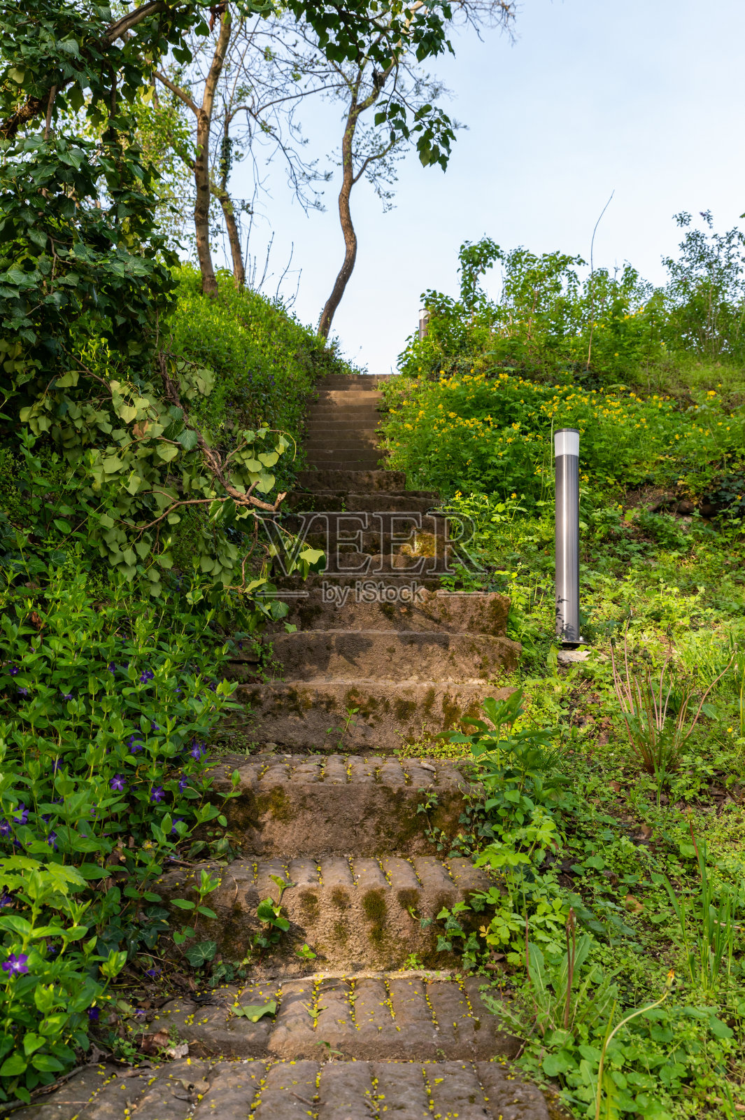 公园里的石阶照片摄影图片