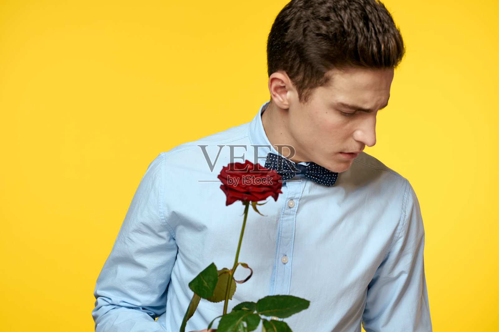一个男人的肖像，黄色的背景上有一朵红玫瑰，穿着浅色的衬衫，打着领结照片摄影图片