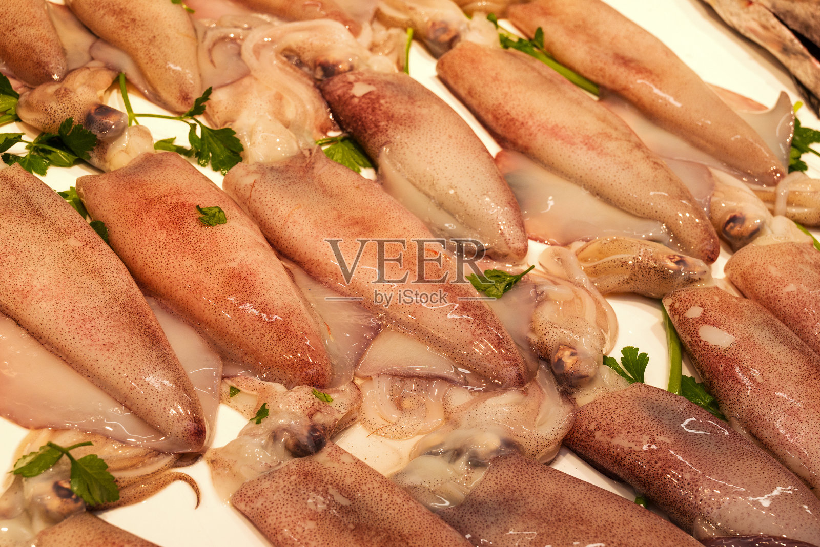 鱼市有许多不同的新鲜鱼照片摄影图片