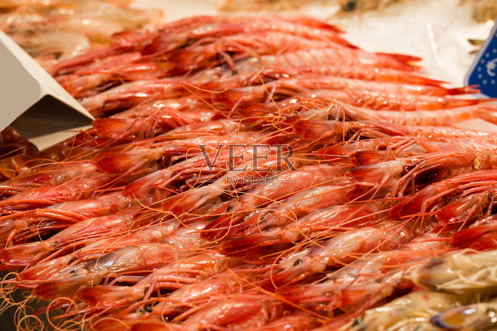 鱼市有许多不同的新鲜鱼照片摄影图片