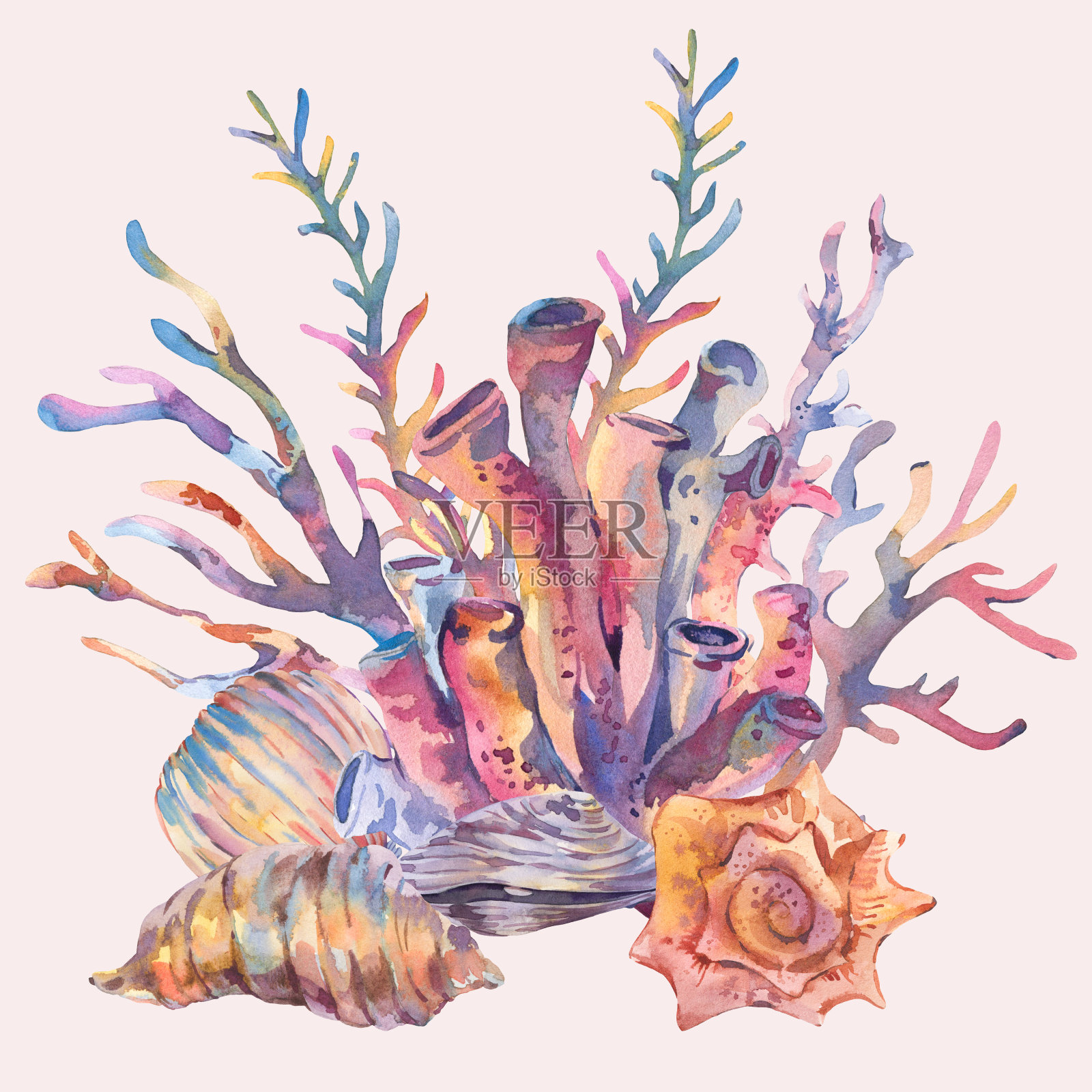 采购产品水彩复古海洋宝藏，海藻，贝壳贺卡插画图片素材