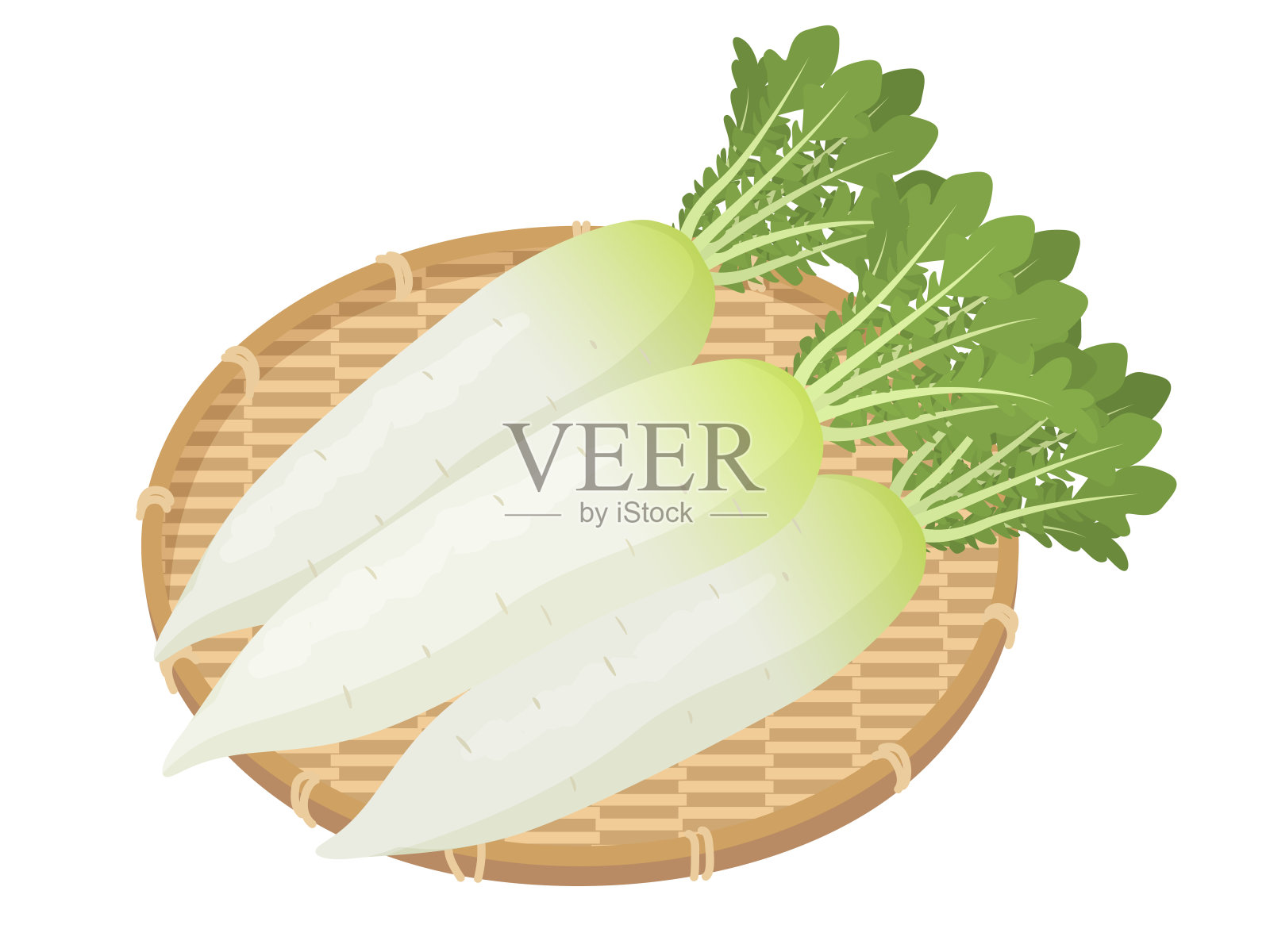 在篮子里的萝卜矢量插图插画图片素材