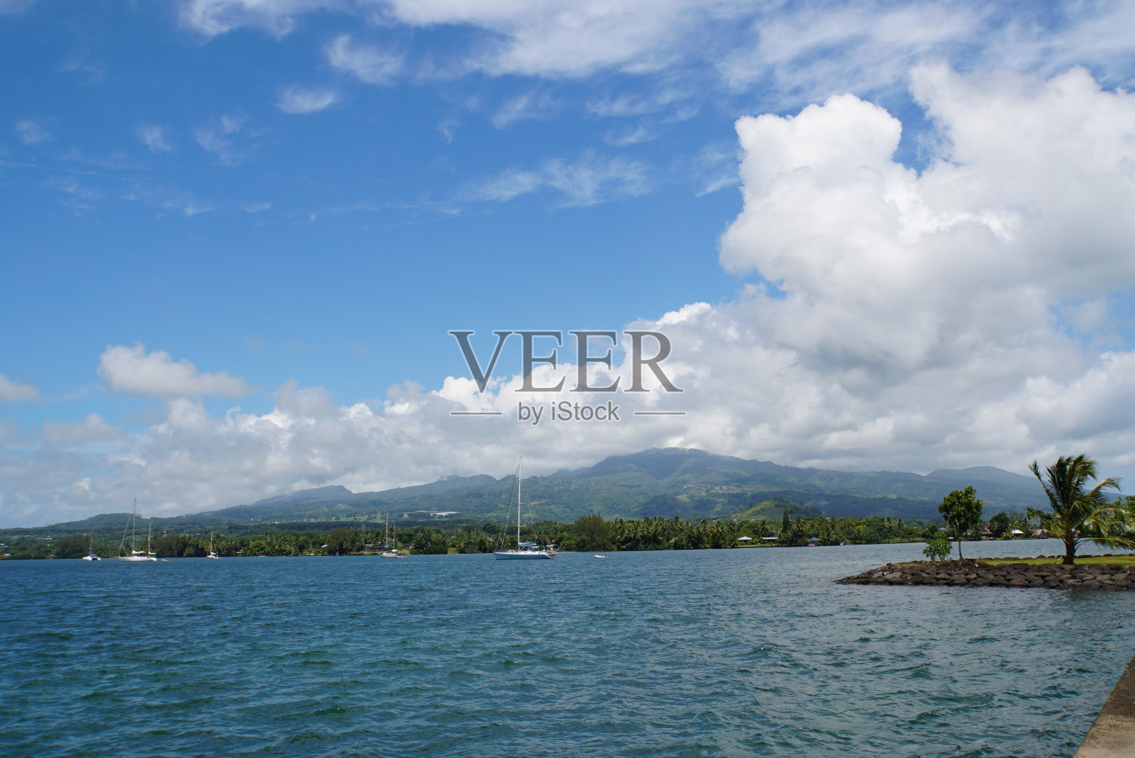 塔希提岛景观照片摄影图片