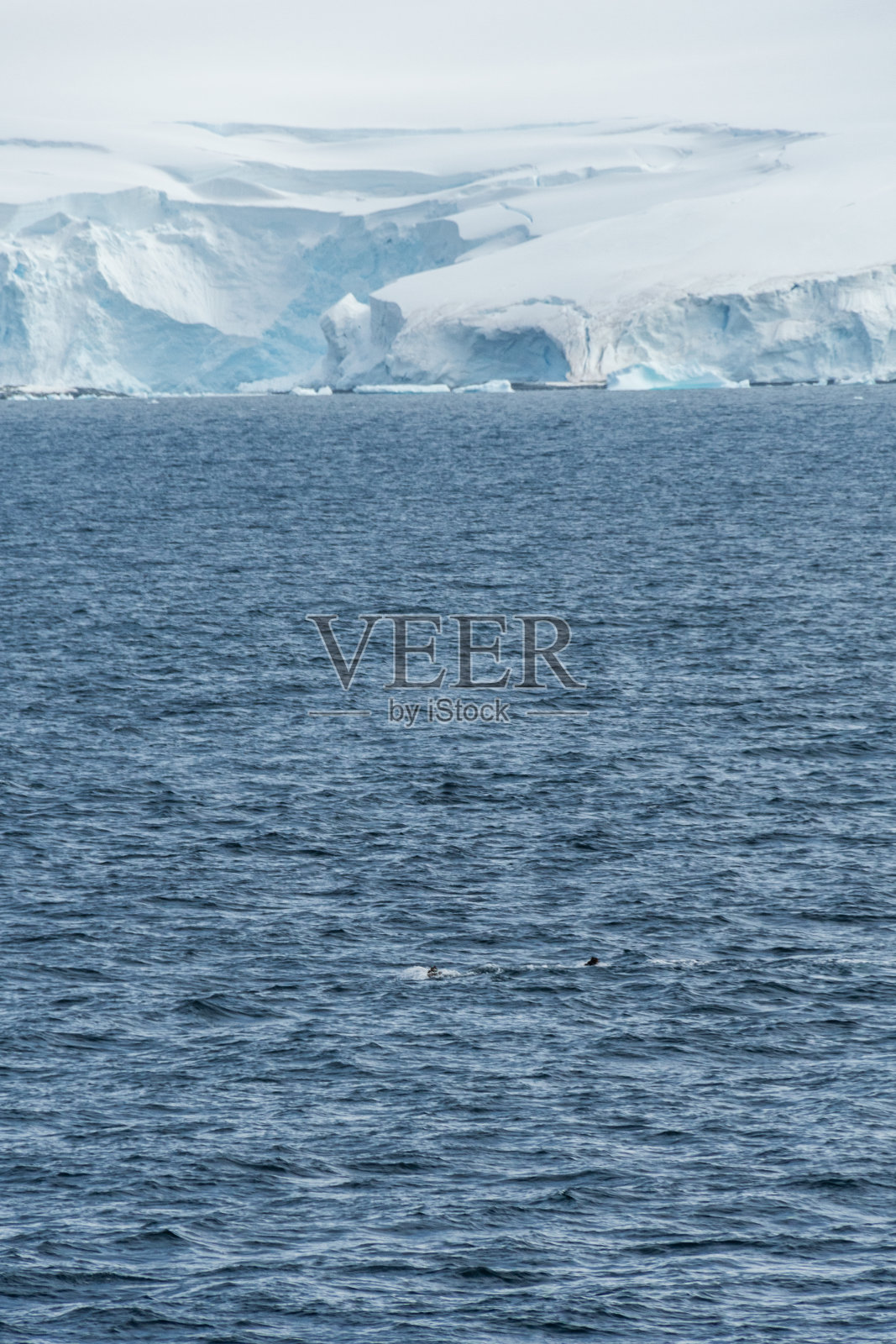 安弗斯岛附近的南极景观照片摄影图片