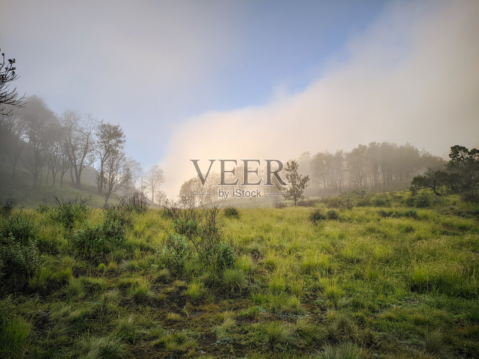 雾蒙蒙的罗虎山照片摄影图片