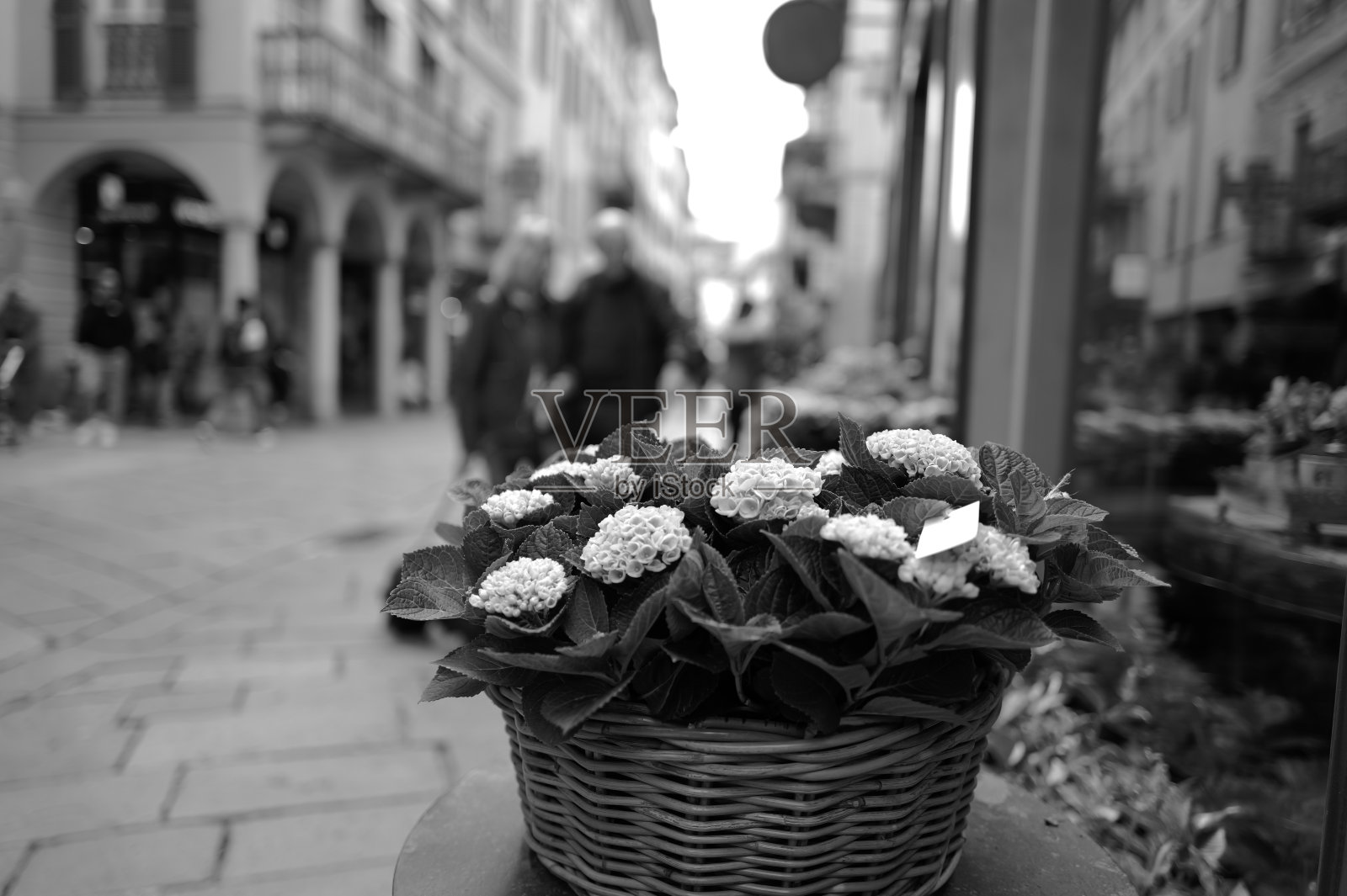 市中心的花店照片摄影图片