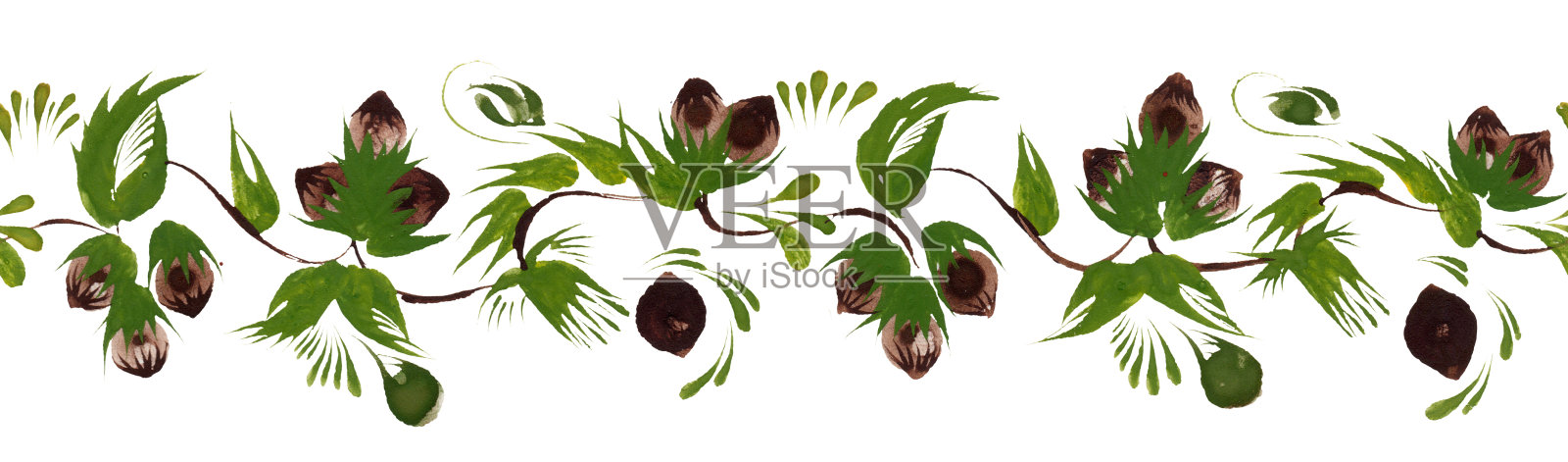 花卉无缝边界图案从手绘榛子枝，树叶和坚果孤立在一个白色的背景插画图片素材