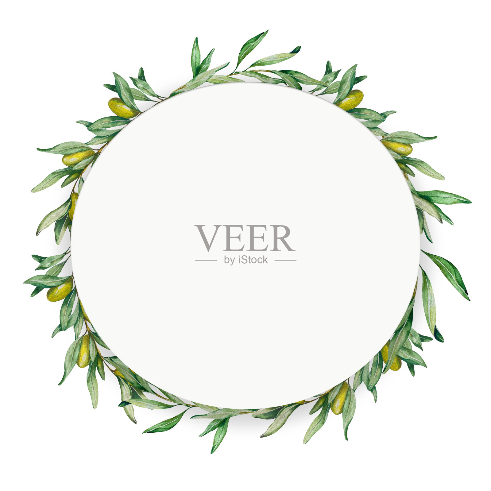 花环框架。水彩橄榄枝与水果，叶子。白色背景。采购产品包装设计化妆品，厨房，家纺，邀请函，咖啡厅菜单，餐具，文具，名片插画图片素材
