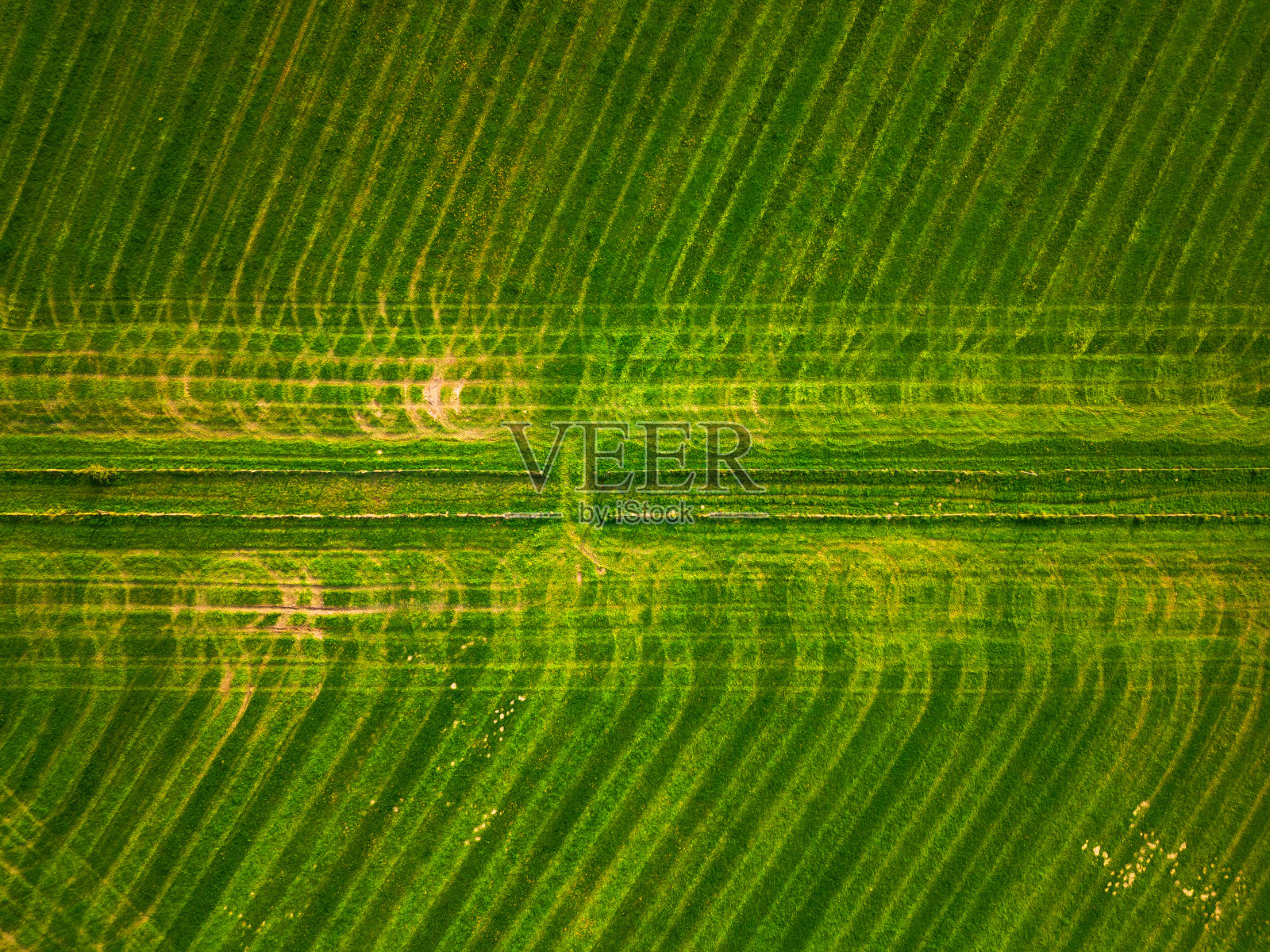 鸟瞰郁郁葱葱的绿色农田和农田照片摄影图片