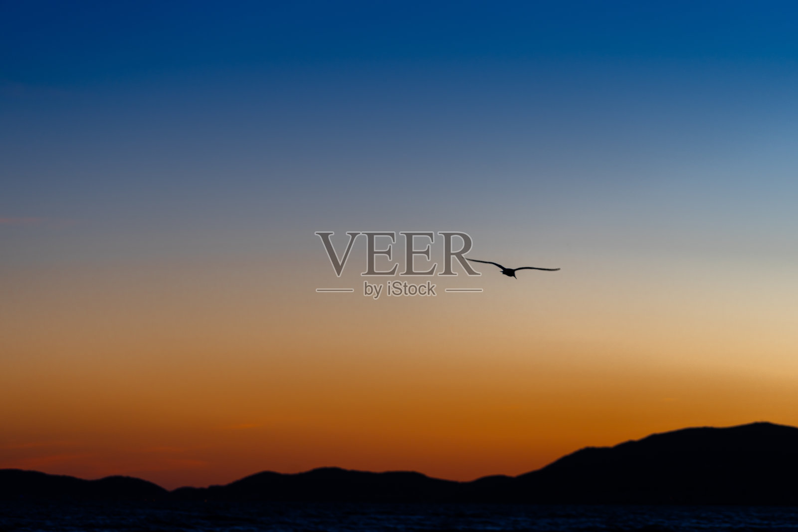 海鸥在落日的余晖中飞过山脉照片摄影图片