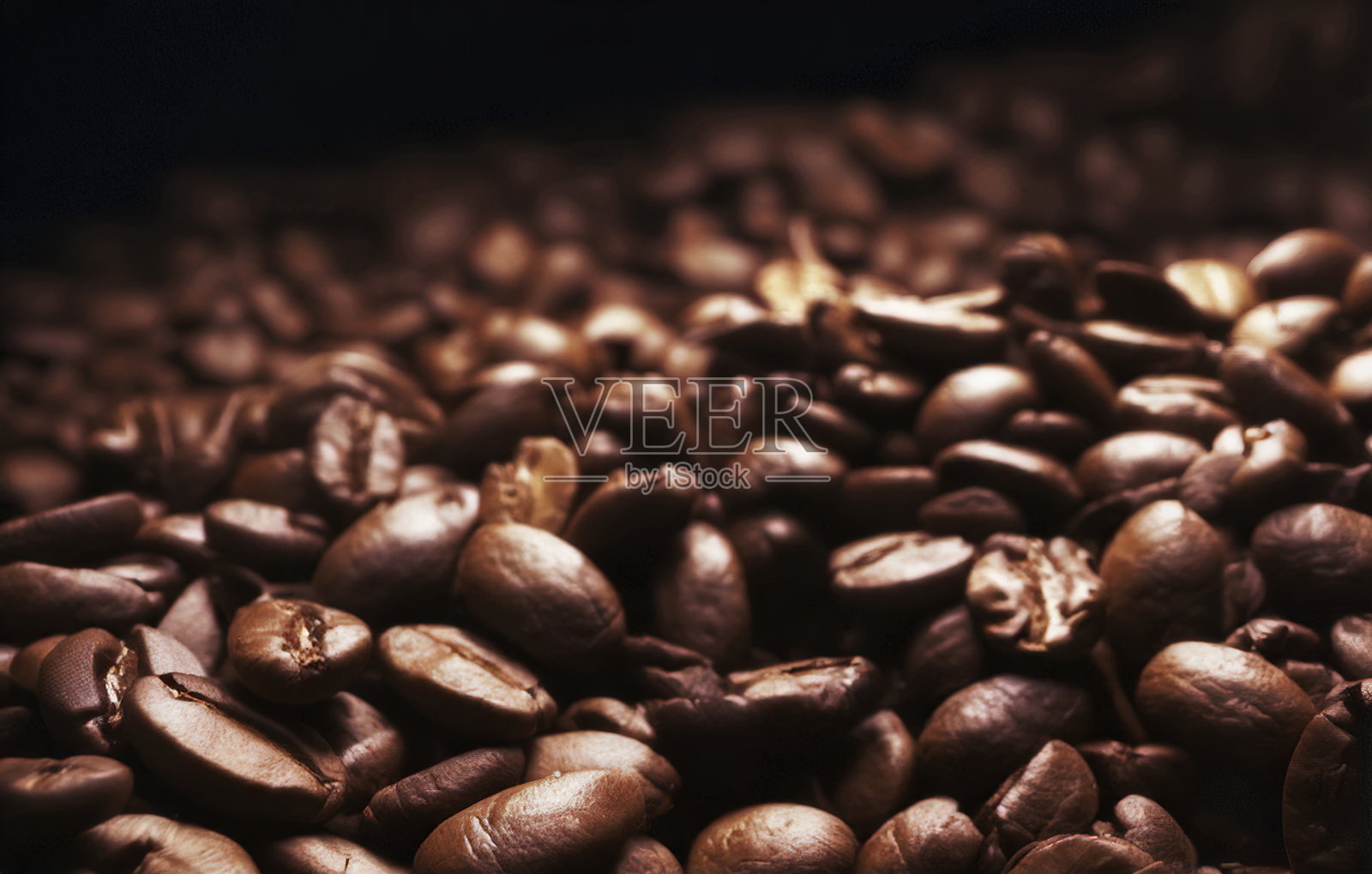 新鲜咖啡豆照片摄影图片