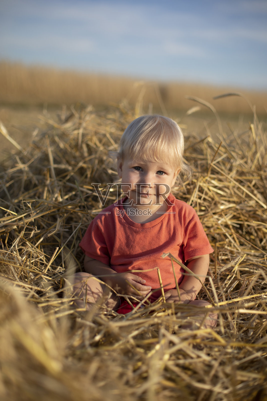在一个阳光明媚的日子里，一个身穿红色t恤的一岁金发男孩坐在金色的稻草上照片摄影图片