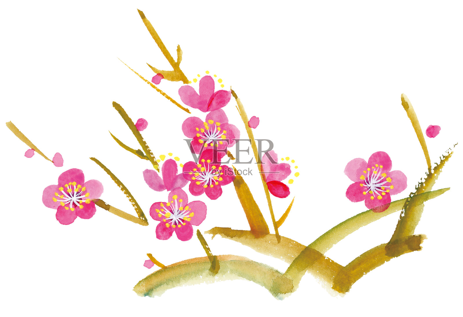 水彩手绘插画红梅花插画图片素材