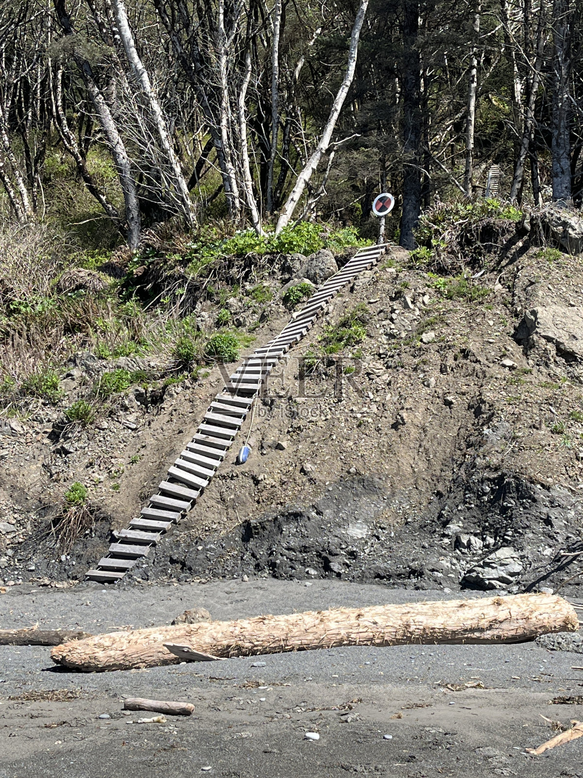 奥林匹克国家公园海滨步道上的绳梯照片摄影图片