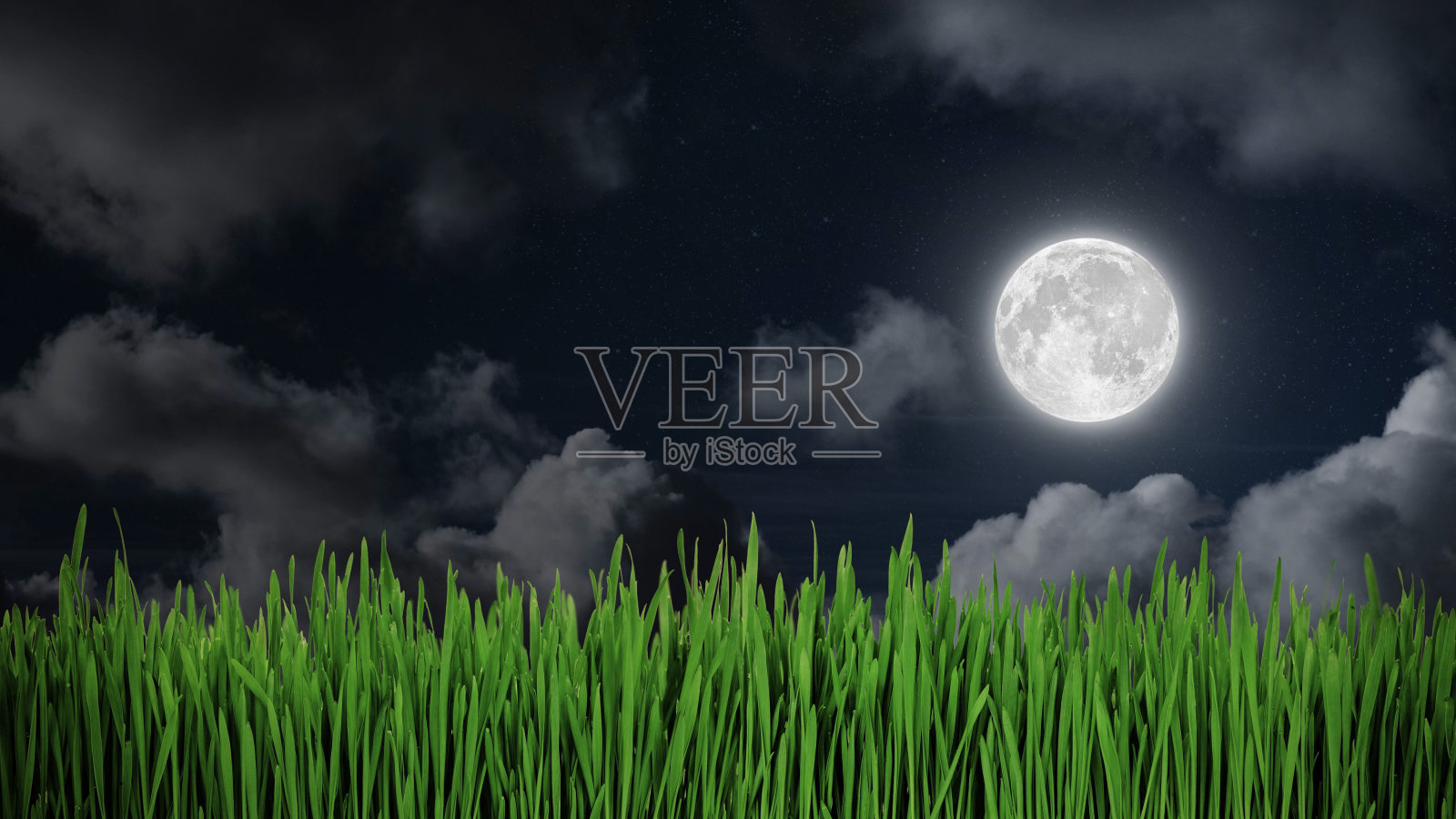 夜空背景上的一片绿色田野照片摄影图片