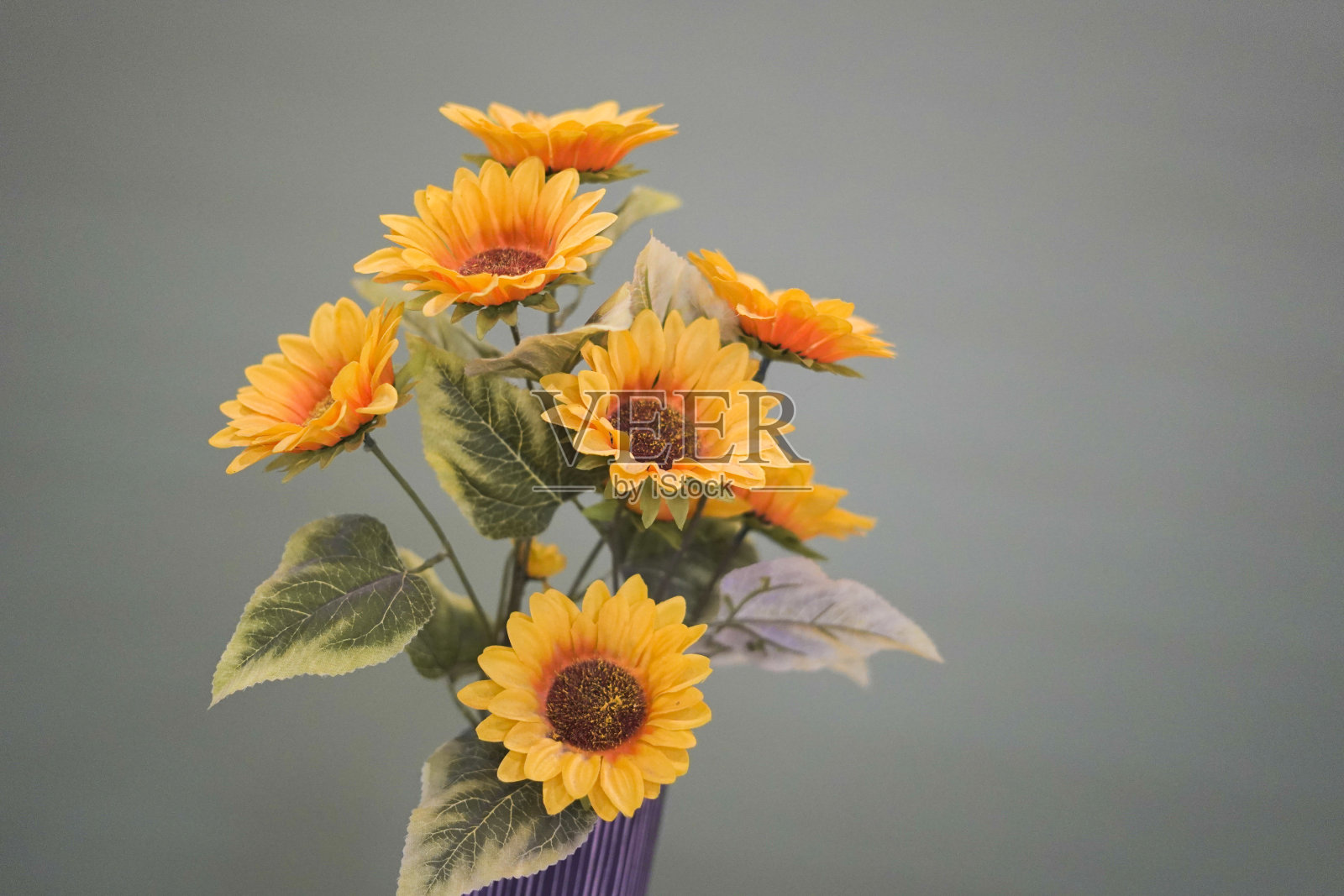 墙上有黄色的塑料花照片摄影图片