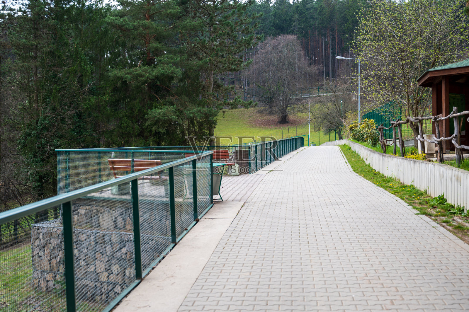 秋林中狭窄的小路。照片摄影图片