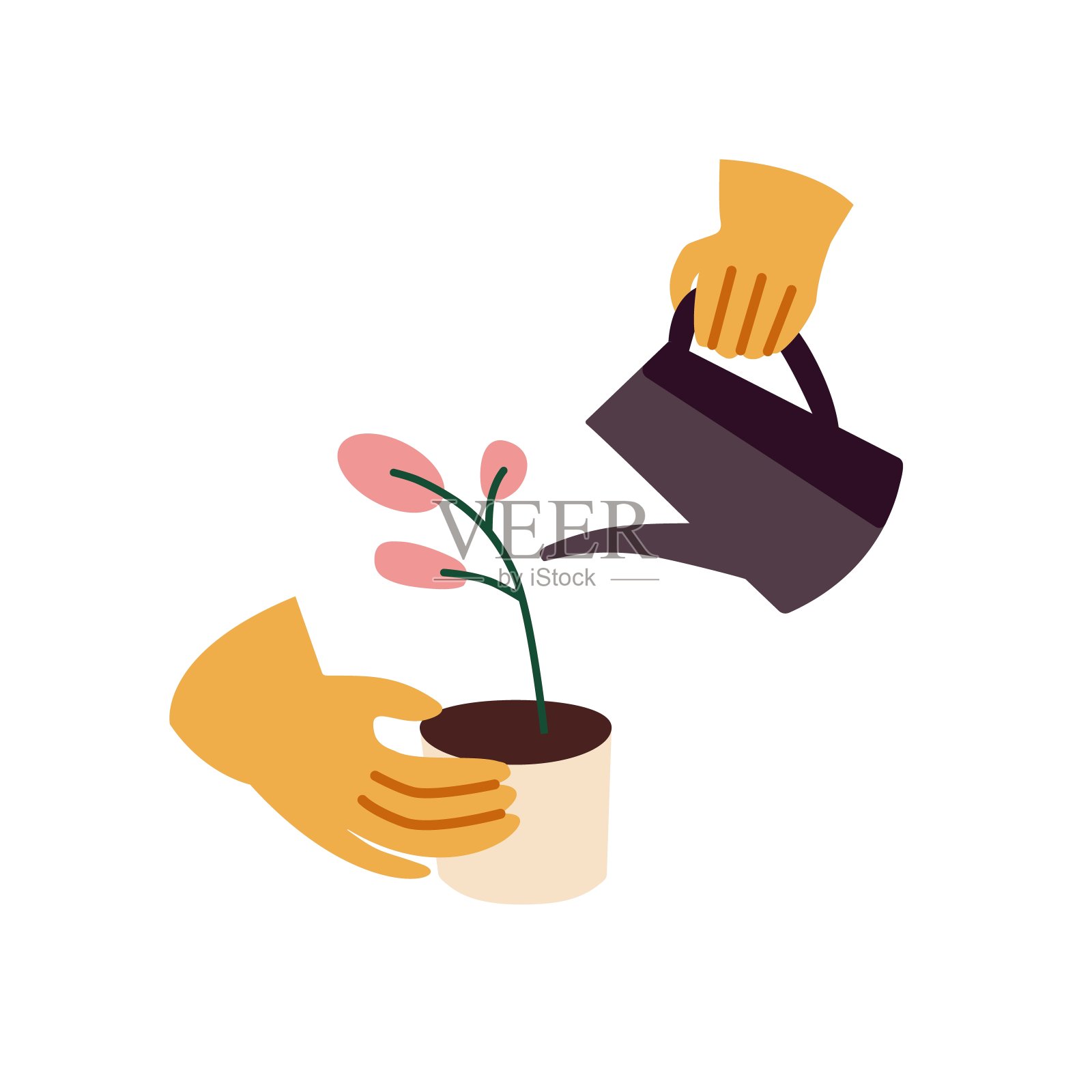 人物关心带水壶的室内植物。在陶瓷花盆中种植家用花卉。手持花盆中的家用植物发芽。平面隔离矢量插图上的白色背景插画图片素材