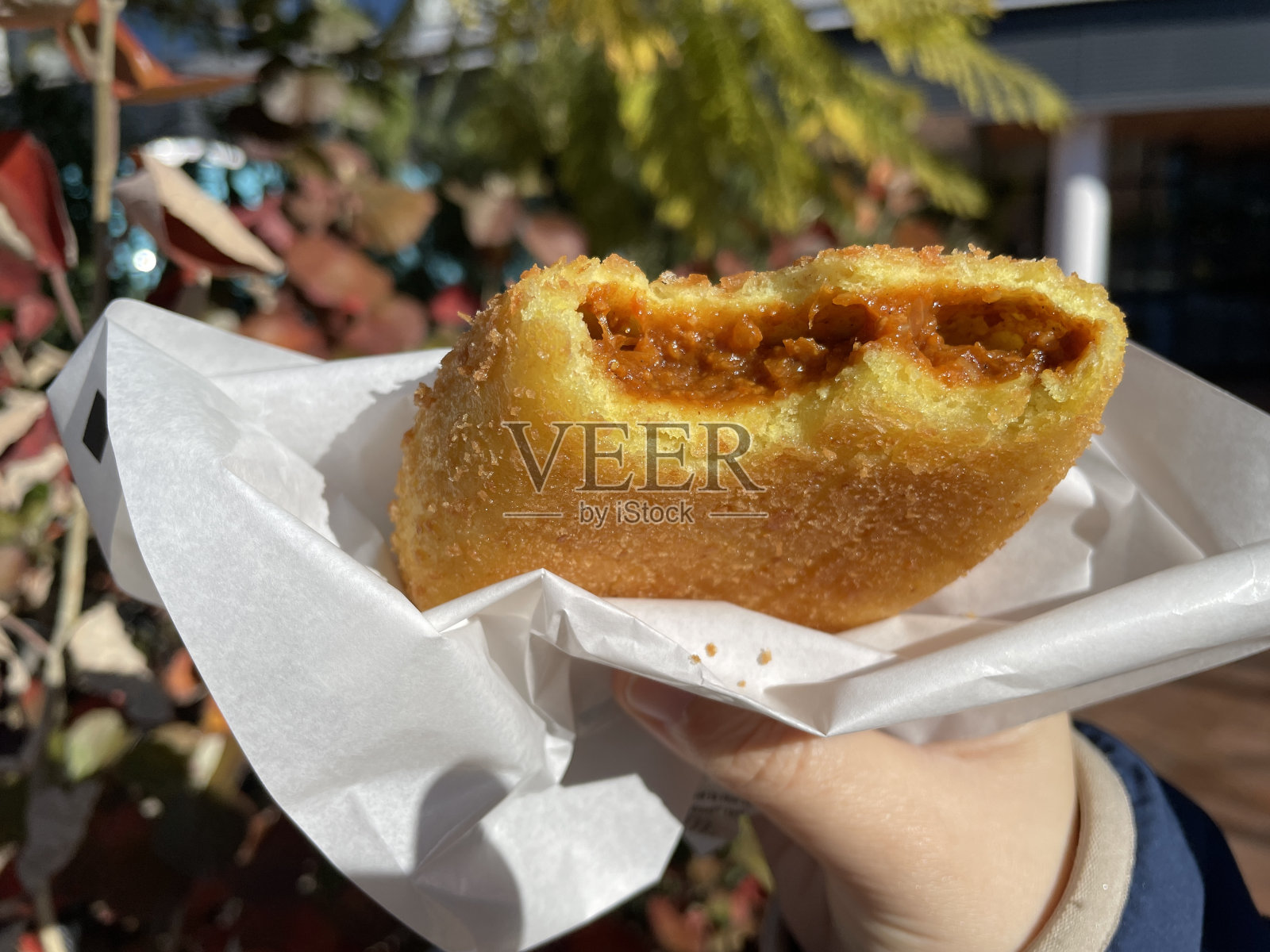 脆咖喱包配炸面包照片摄影图片