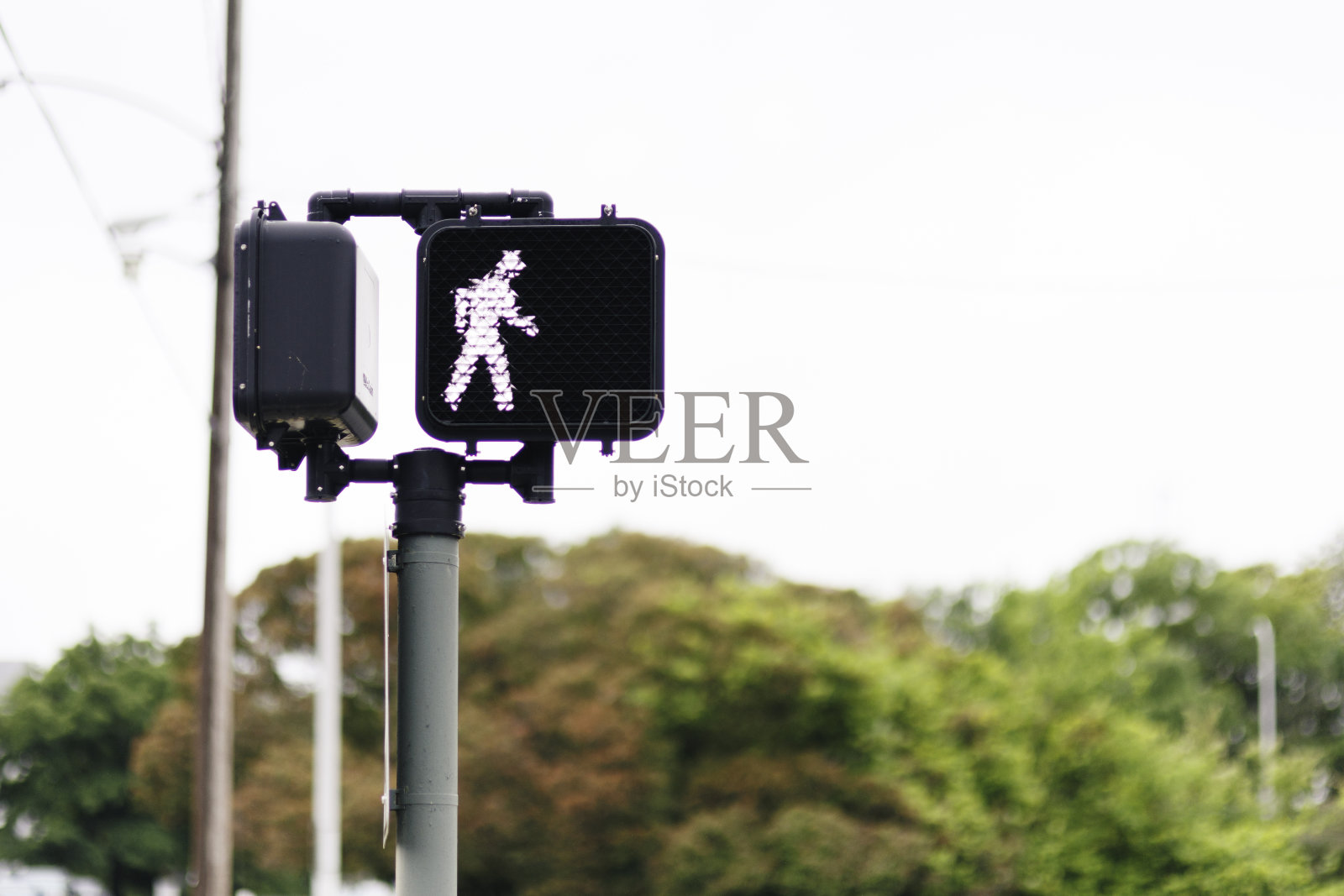 绿意盎然的日光行人交通信号灯照片摄影图片