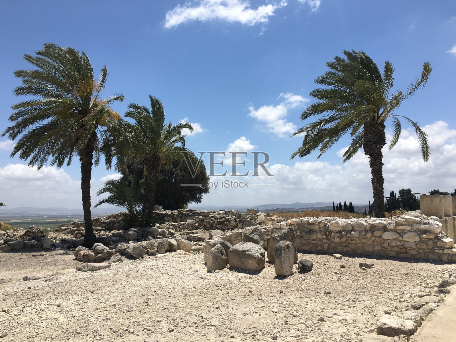 以色列米吉多国家公园五月景色照片摄影图片