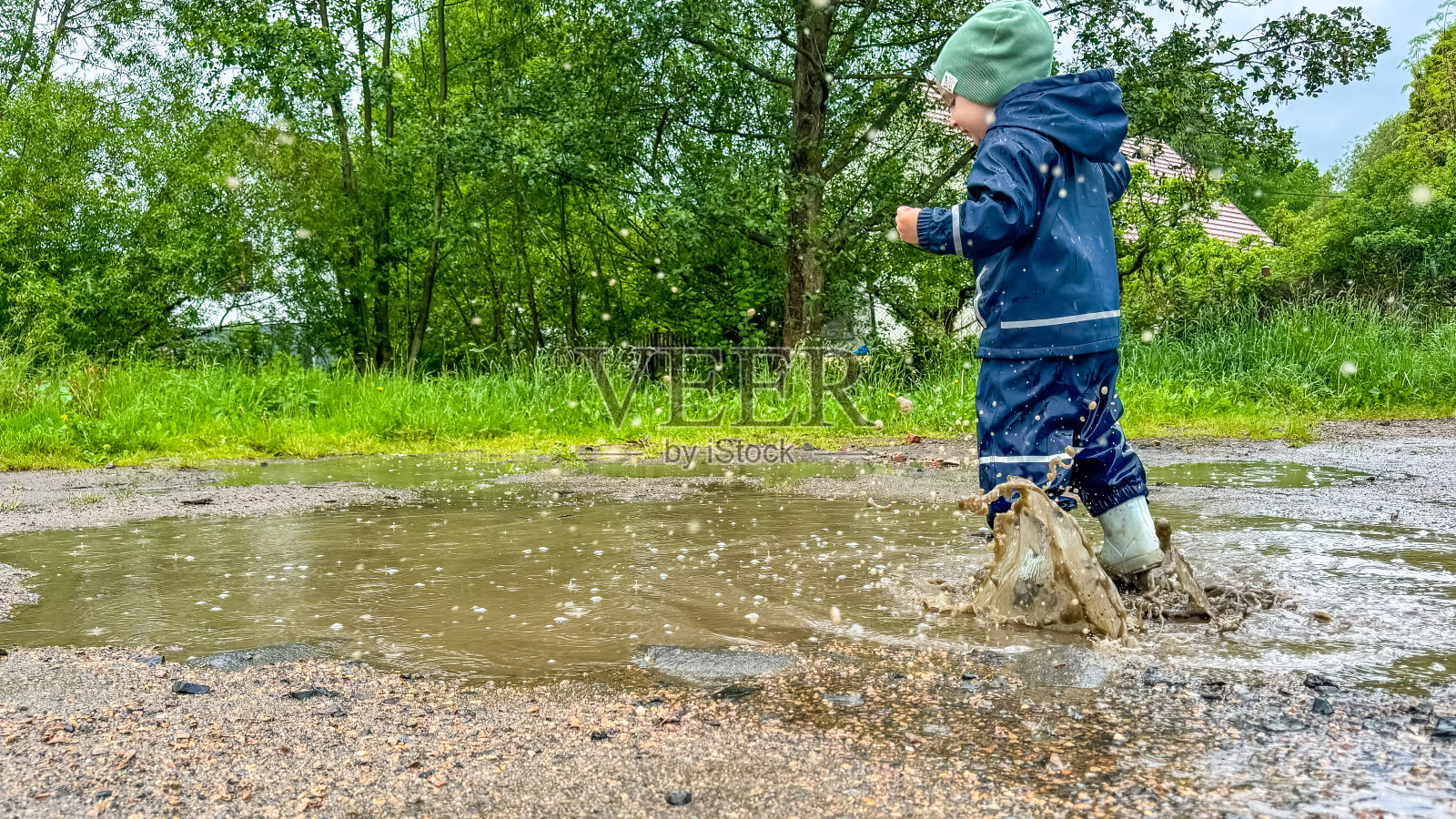 一只奇异的蝴蝶坐在植物园的一片树叶上照片摄影图片