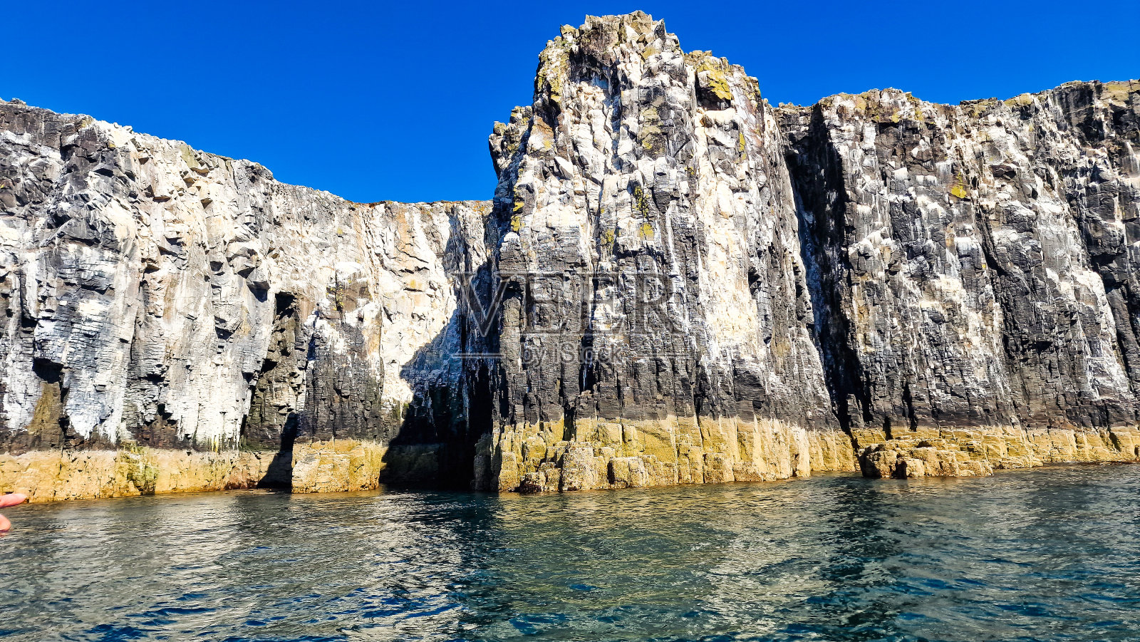 英国苏格兰梅岛自然保护区照片摄影图片