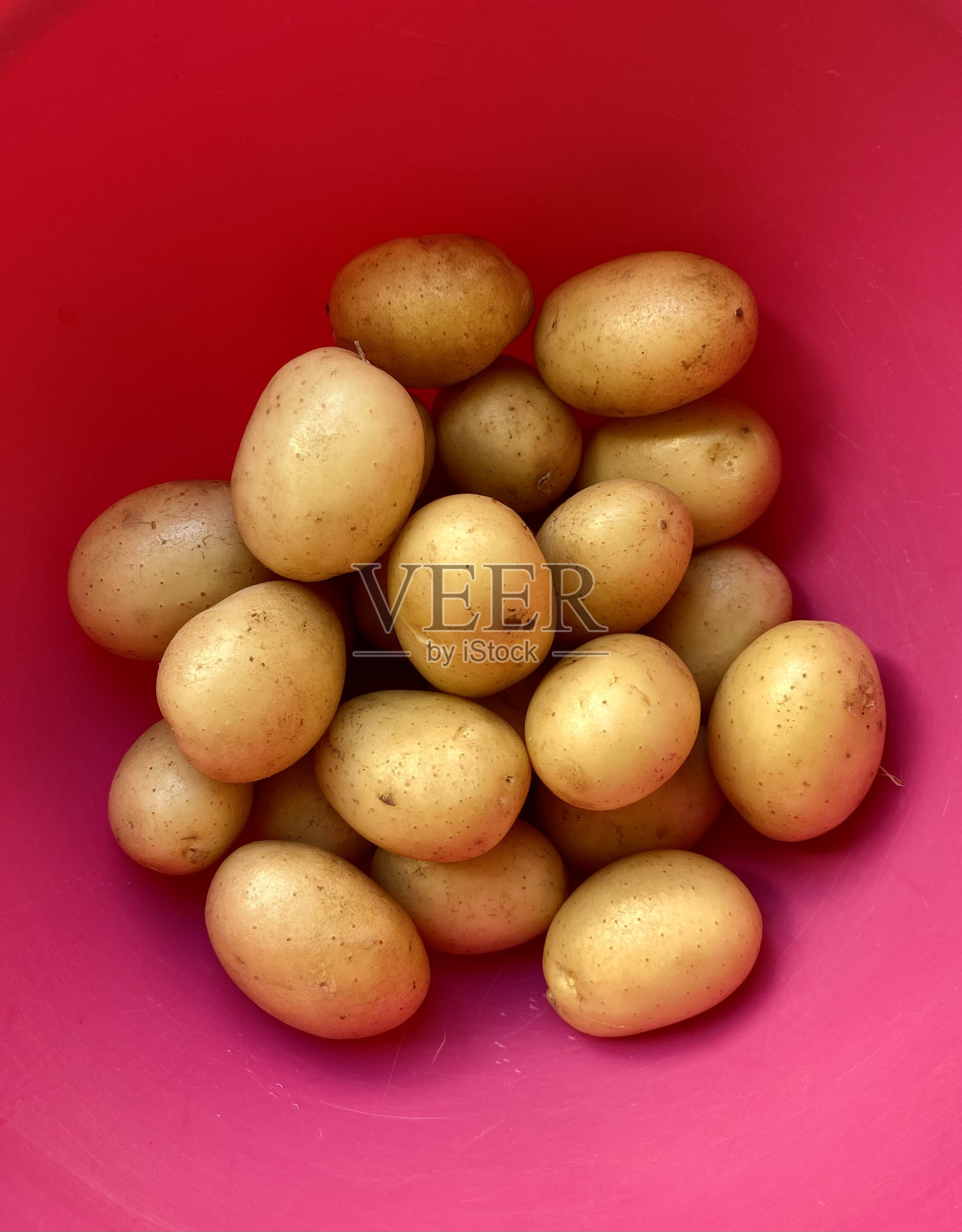 小土豆照片摄影图片