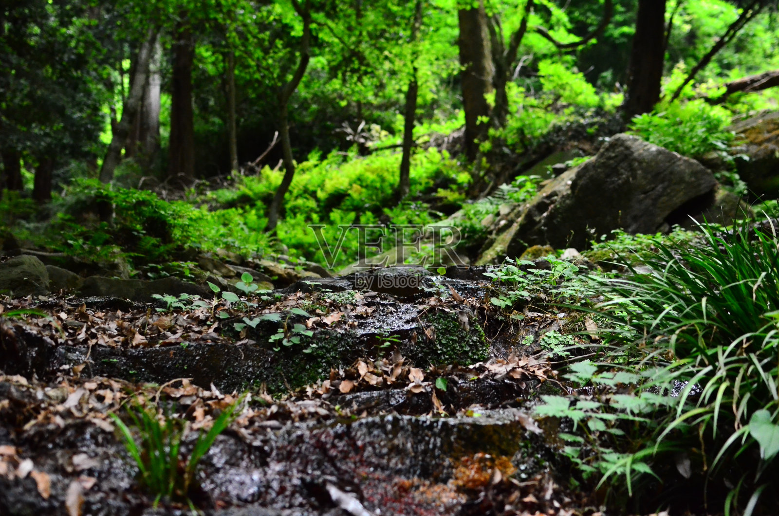 北京山位于日本茨城市筑波市东北部，高461米。在东面，可以看到日本第二大的霞aura和远处的太平洋(鹿岛海)。照片摄影图片