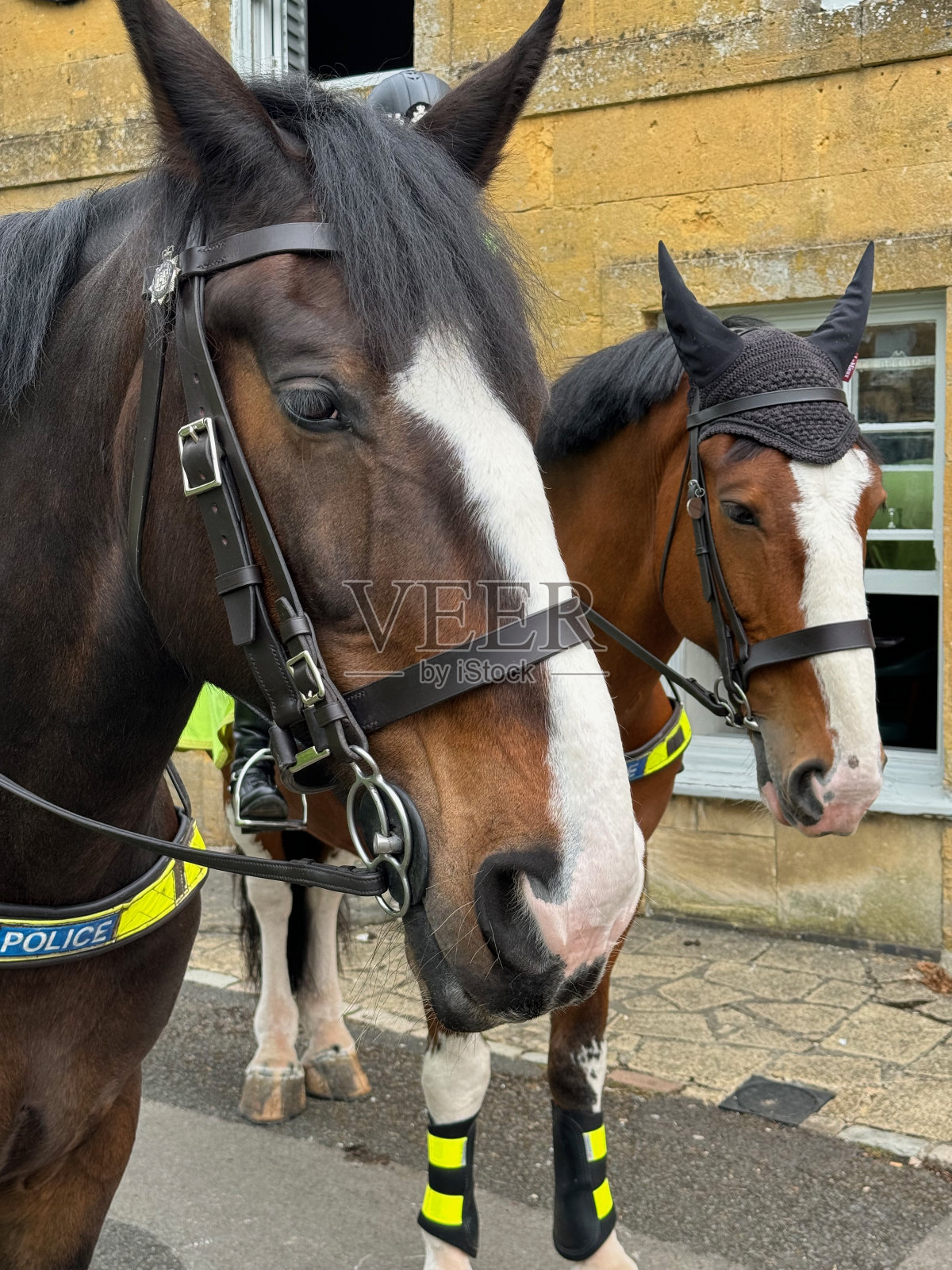 英国骑警照片摄影图片