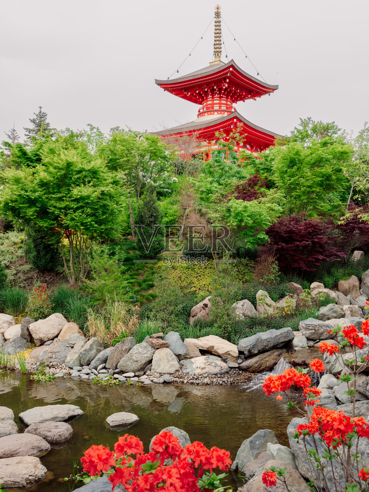 在克拉斯诺达尔有一个池塘和佛教寺庙的日本花园照片摄影图片