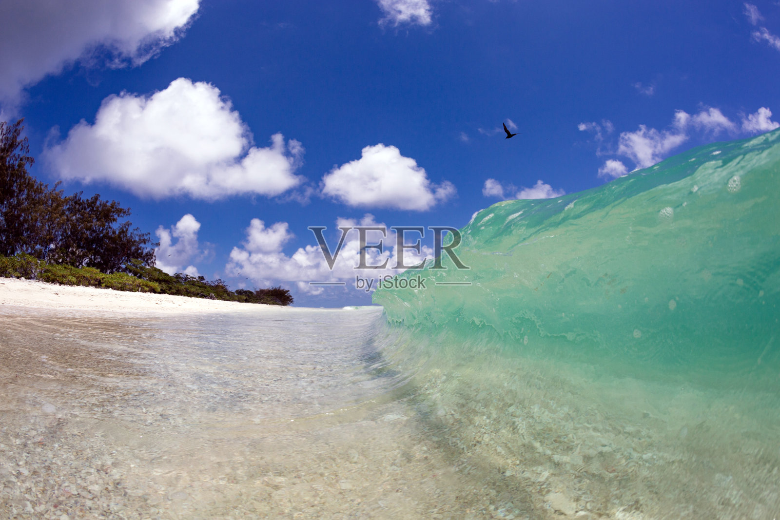 梦幻般清澈的海浪拍打着艾略特夫人岛的海岸线照片摄影图片