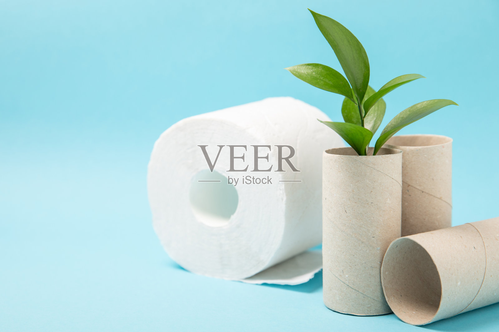 空的厕纸卷。空的卫生纸卷和植物作为背景。纸管厕纸。放文字的地方。副本的空间。平的。环保再利用再循环照片摄影图片