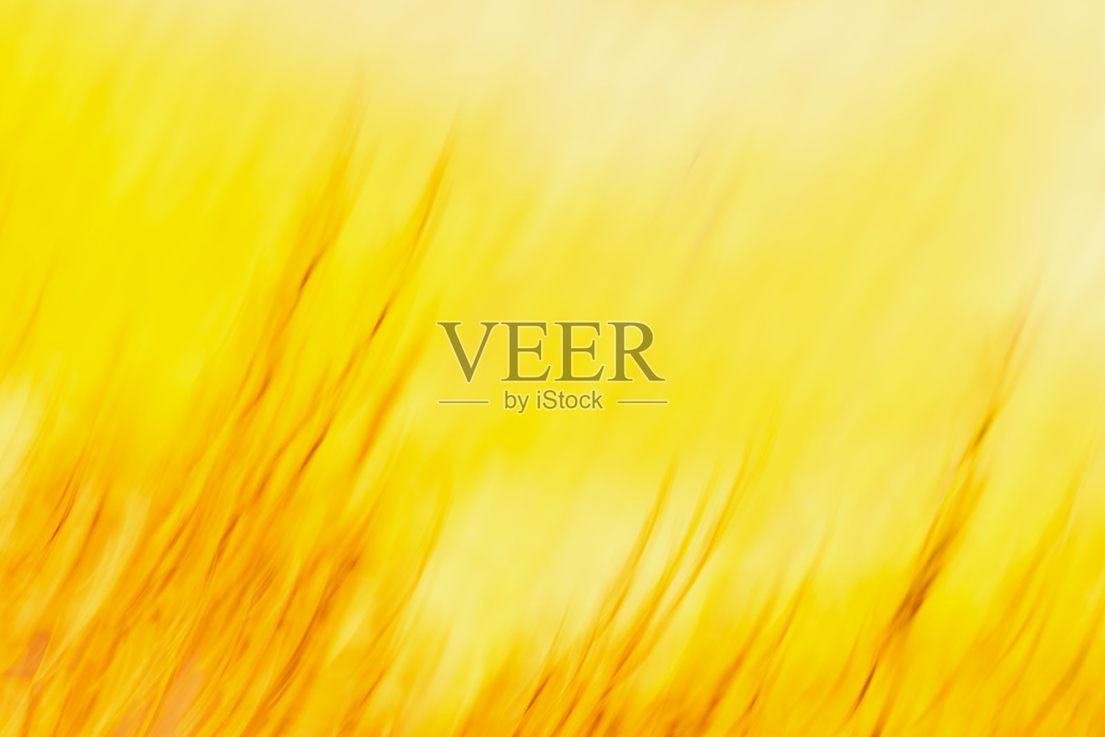 抽象黄色渐变自然背景。散焦运动照片摄影图片