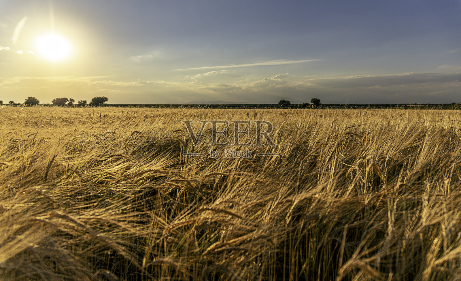 卡斯蒂利亚高原延伸出一望无际的麦田，卡贝萨萨达，托莱多照片摄影图片
