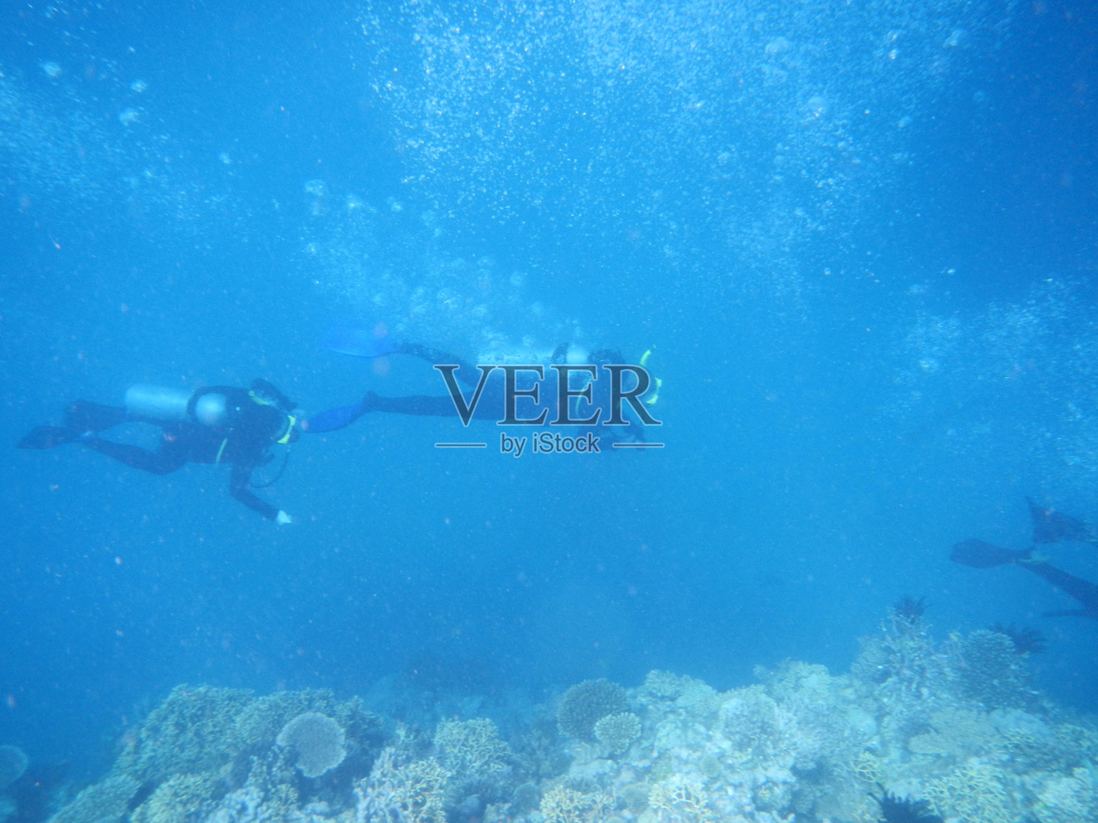 潜水者在澳大利亚大堡礁浮潜照片摄影图片