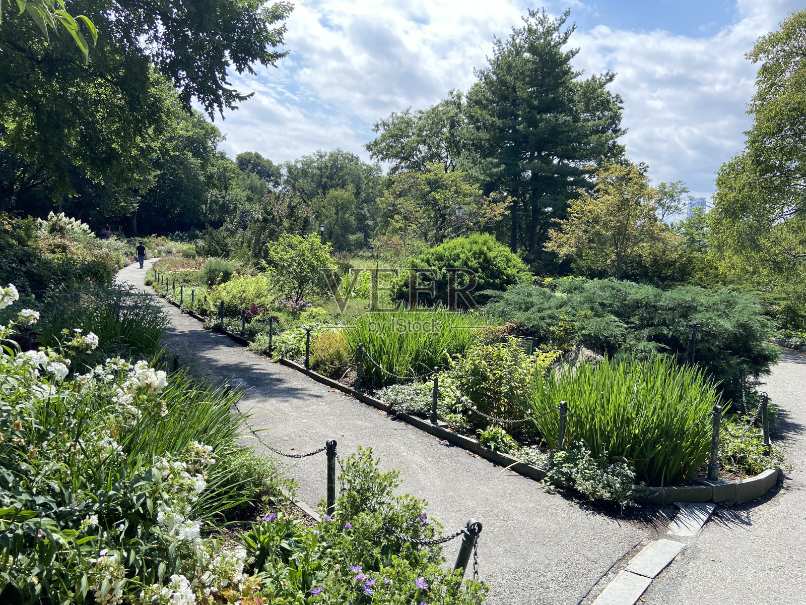 夏天在华盛顿高地的特赖恩堡公园的希瑟花园照片摄影图片