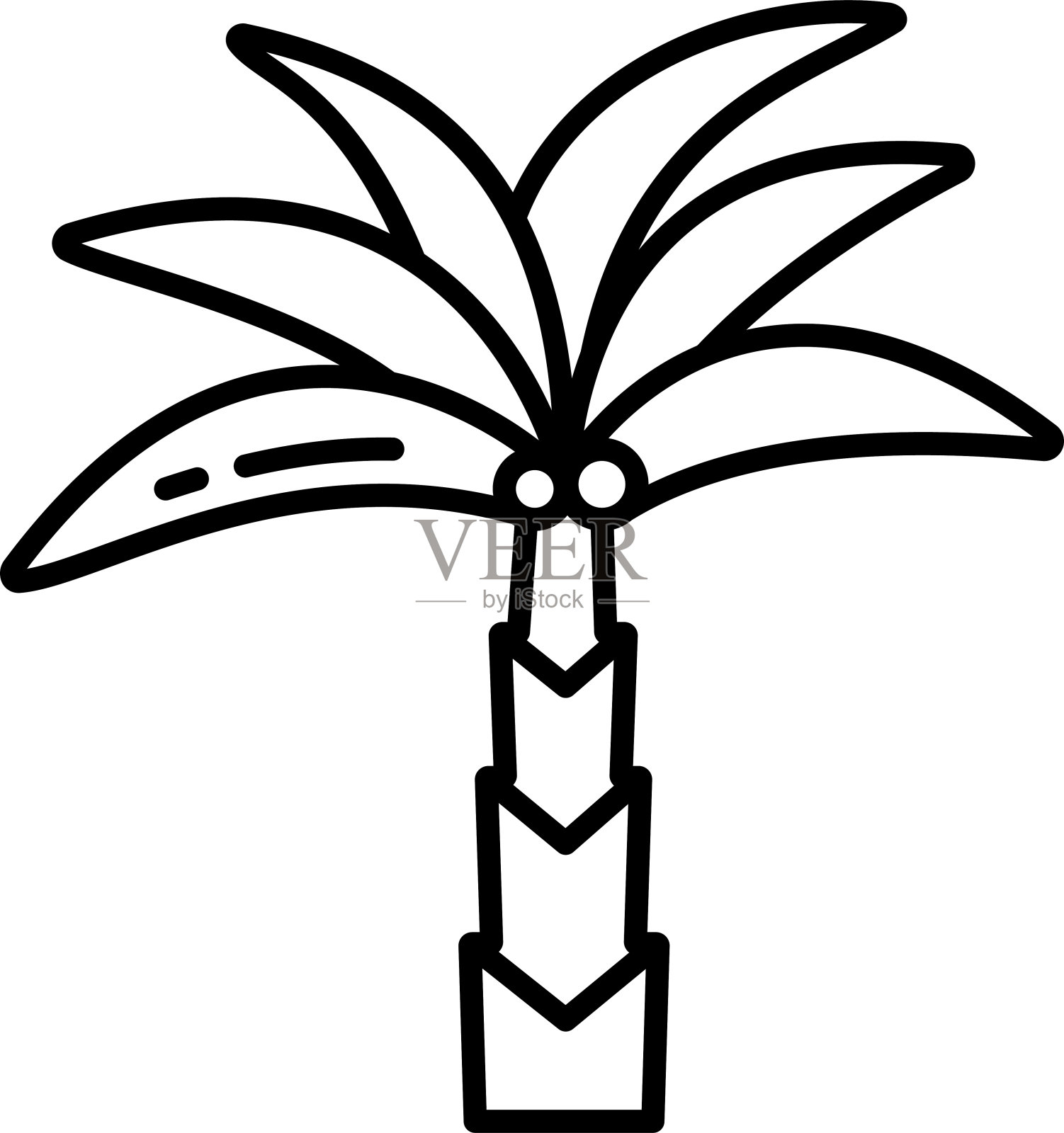 枣棕榈轮廓矢量插图插画图片素材