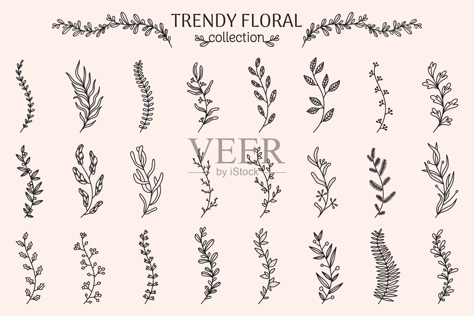 花分支。桉树，迷迭香，薰衣草，橄榄。树叶和浆果。框架和边框装饰元素的设计。植物装饰。矢量线性图标集插画图片素材