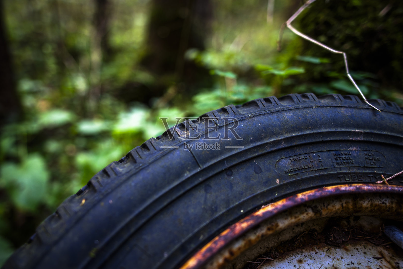 2023 10 14 Cogollo旧汽车车轮5照片摄影图片