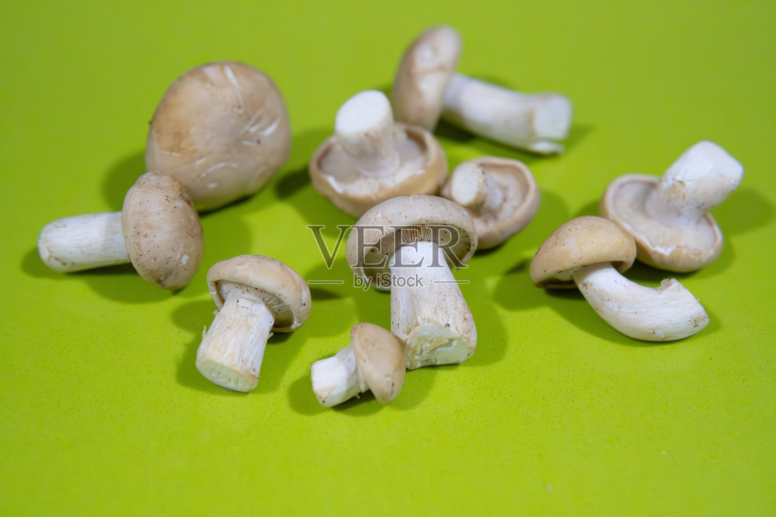 绿色的厨房台面上放着新鲜的白色蘑菇。带有拷贝空间。天然素食成分非常受欢迎和昂贵。本空间照片摄影图片