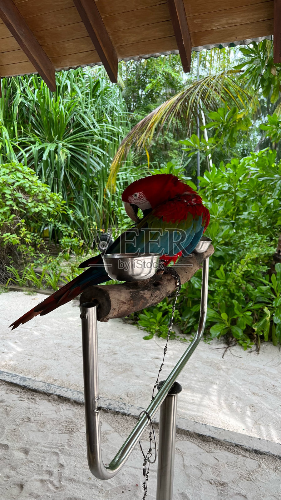 马尔代夫照片摄影图片