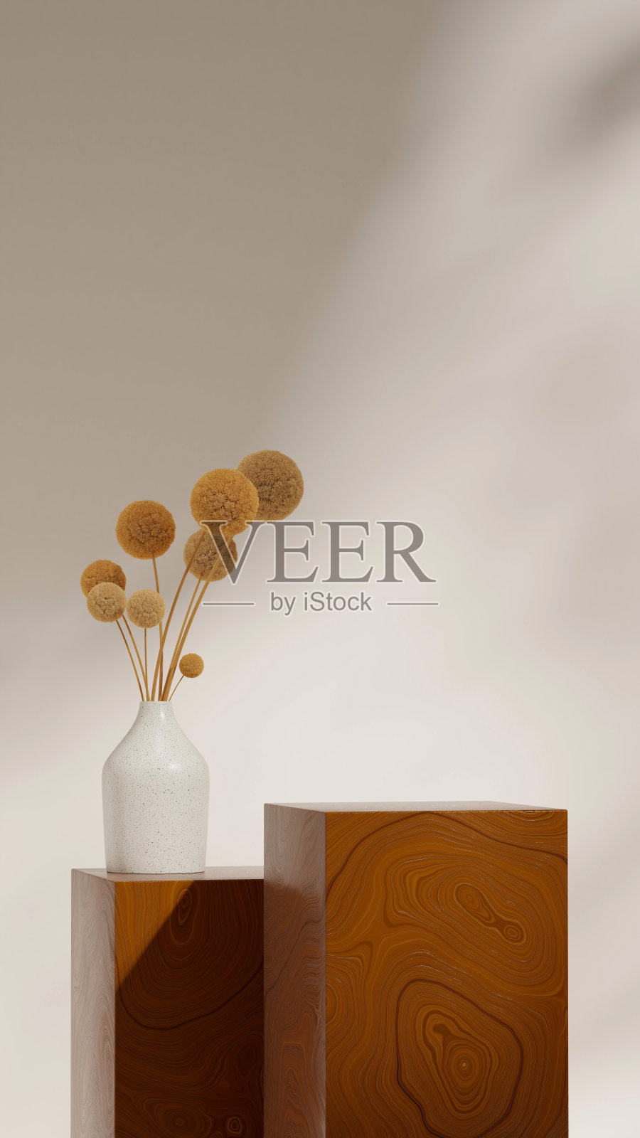 含羞草花在陶瓷花瓶，三维渲染空场景块木材纹理的讲台在肖像照片摄影图片