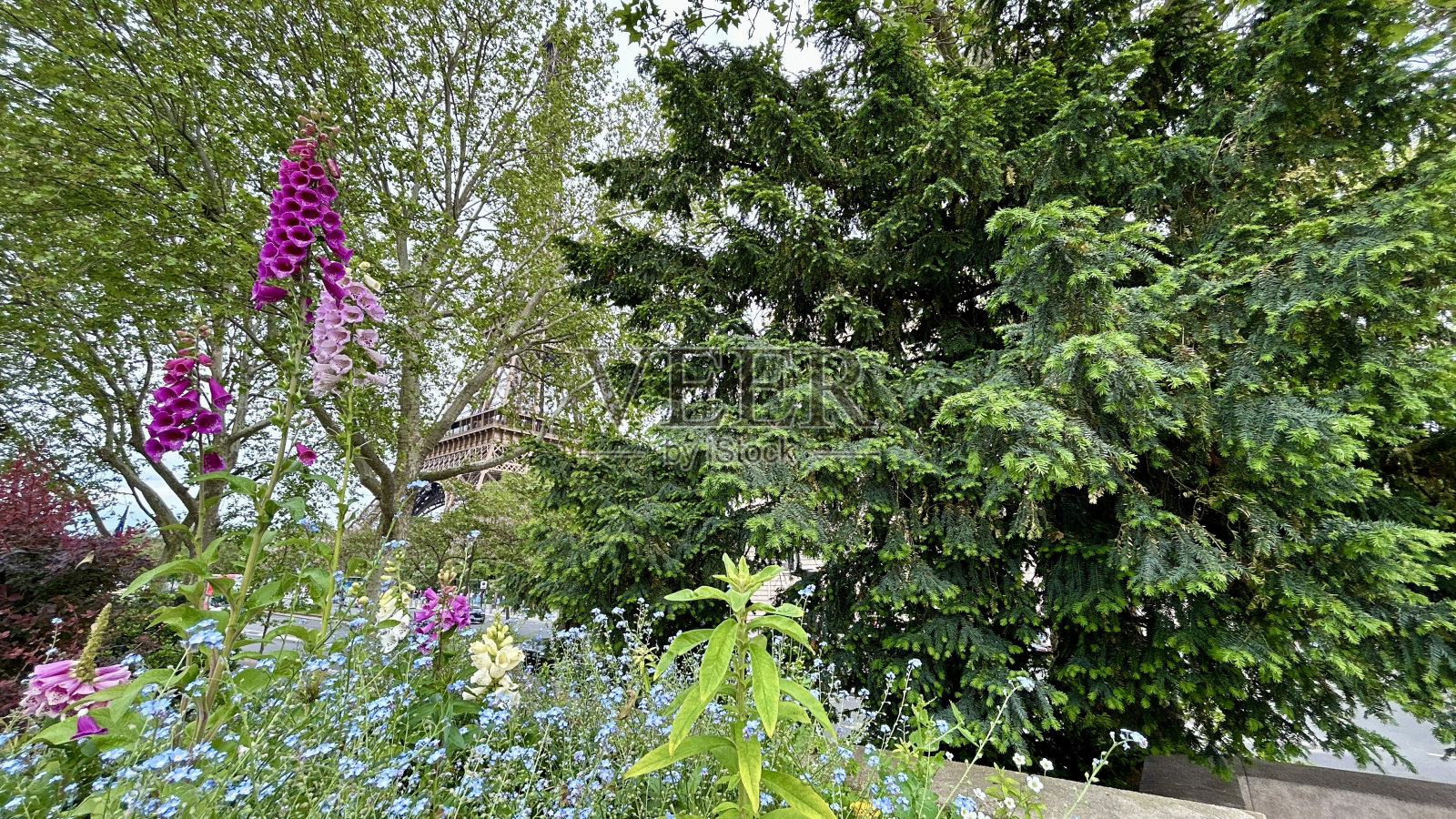 埃菲尔铁塔照片摄影图片