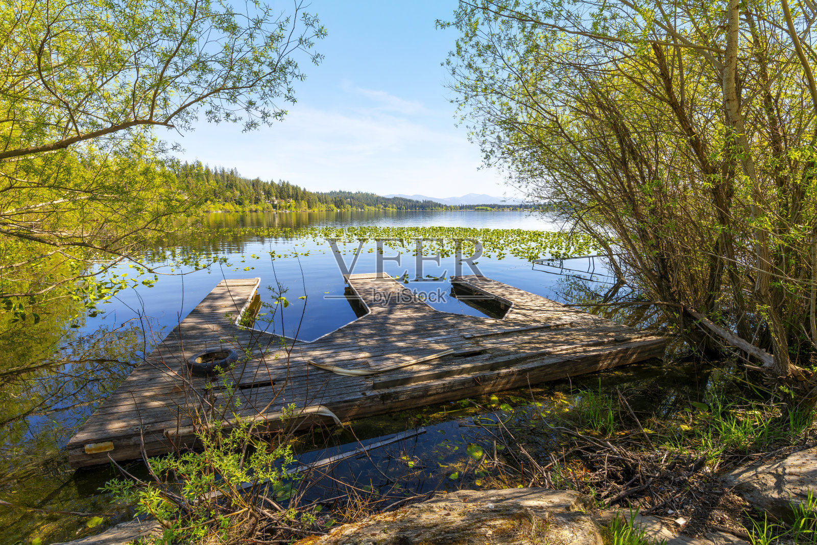 在爱达荷州的豪瑟湖(Hauser Lake)，一艘小船沿着豪瑟湖(Hauser Lake)的沼泽湖滨滑行，豪瑟湖与爱达荷州北部的科达伦(Coeur d'Alene)地区相邻，被认为是该地区的一部分。照片摄影图片