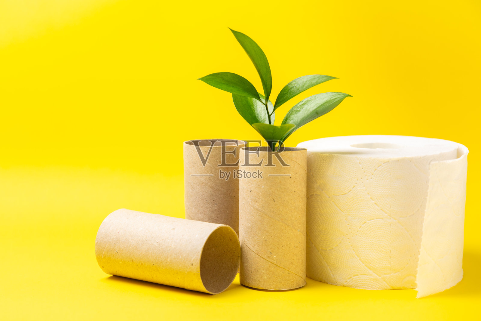 空的厕纸卷。背景是一卷卷的卫生纸。纸管厕纸。放文字的地方。副本的空间。平的。环保再利用再循环照片摄影图片