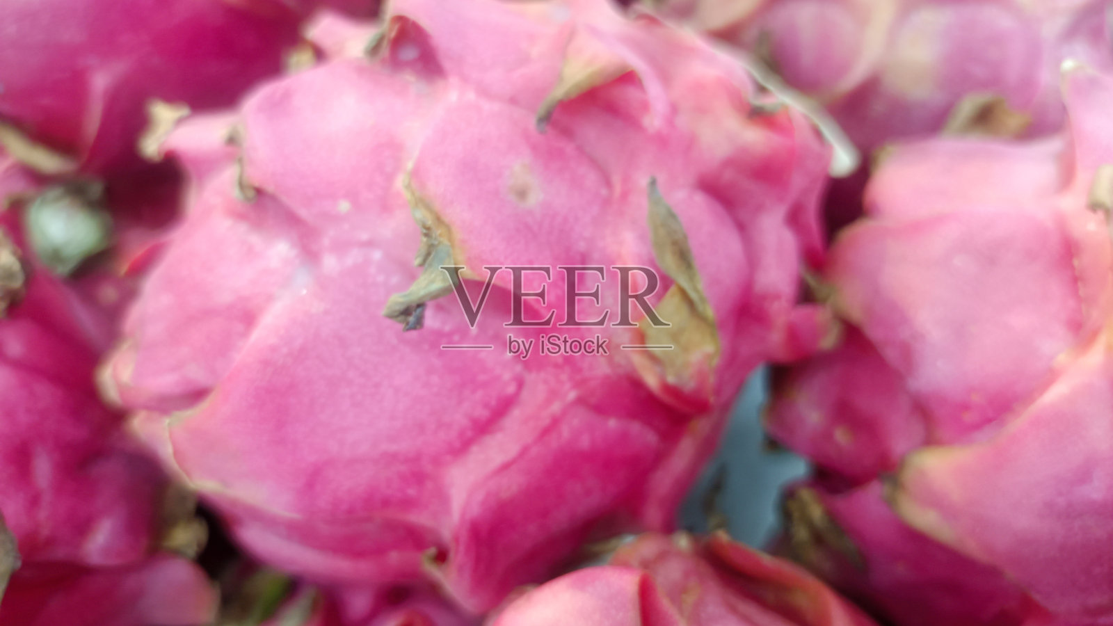 红龙果照片摄影图片