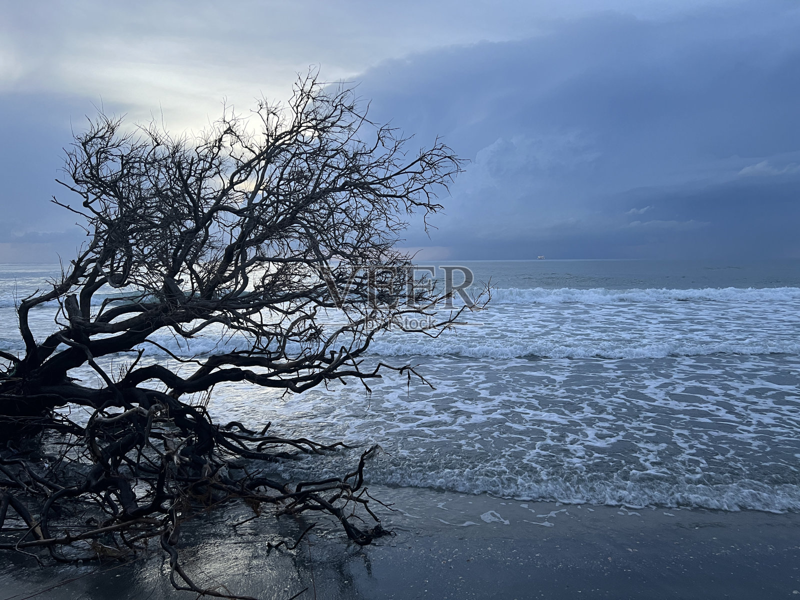在海边照片摄影图片