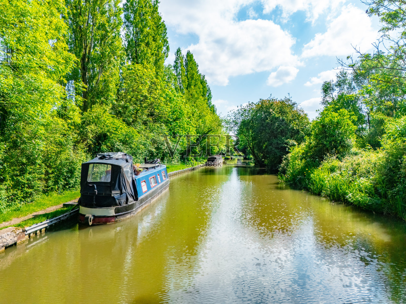 蓝天下，绿树成荫的河边美景照片摄影图片