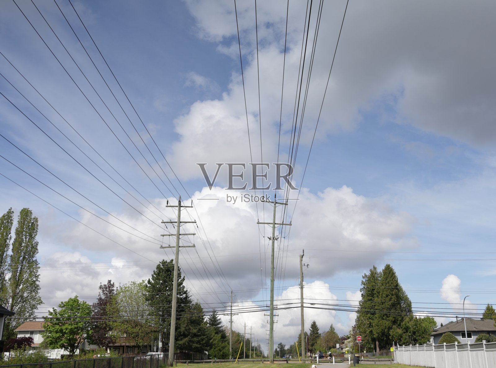 加拿大大温哥华地区的配电线路照片摄影图片